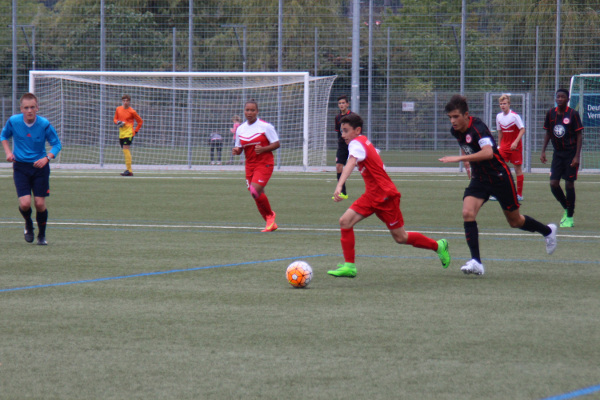 20151004_Bild 5