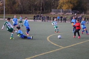 img_0429